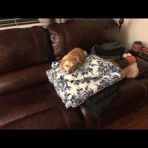 Meet your Posher, Brad